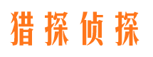 朝天市侦探调查公司